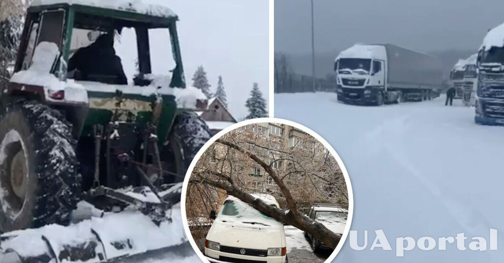 Погода у Львові та області - зима у Львові - фото та відео