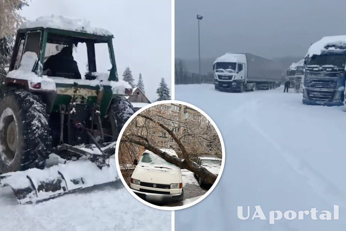 Погода во Львове и области - зима во Львове - фото и видео