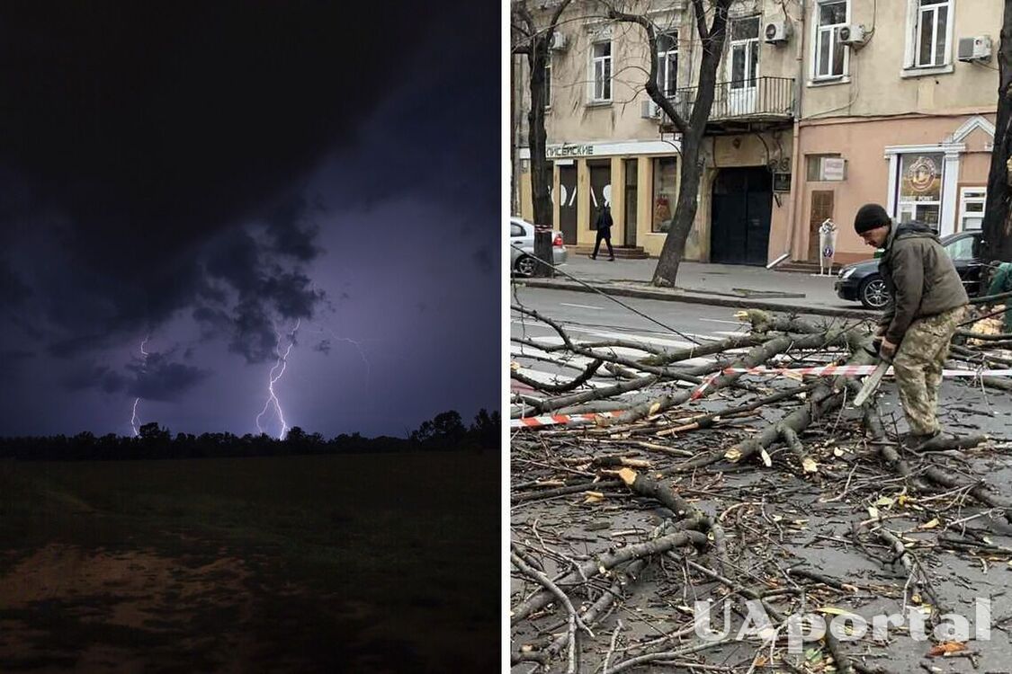 На Одещині в грудні вирувала негода з грозою: падали дерева, вітер зніс мобільну вежу (фото та відео)