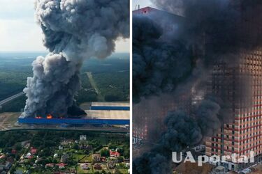 Стало известно, кому выгодны пожары в россии