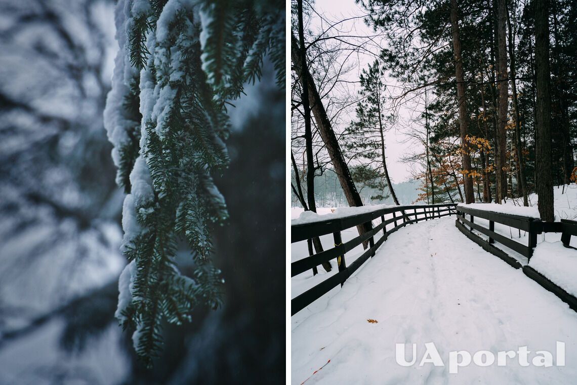 Погода в Украине 14-15 декабря - Укргидрометцентр прогнозирует сильные морозы