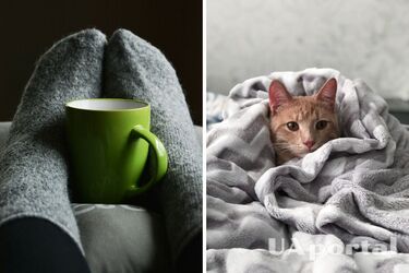 Як не замерзнути вдома - п'ять порад, як швидко зігрітися вдома