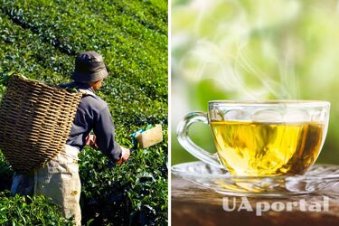 Всемирный день чая