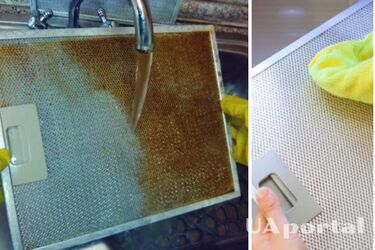 Як та чим почистити витяжку на кухні без хімії