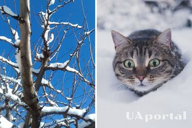 Погіршення метеоумов по всій Україні: синоптики дали прогноз погоди на вихідні