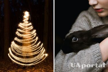 Не отвлеките удачу в 2023 году: какие цвета категорически не любит Черный водяной кролик