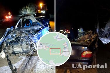 На Київщині легковик злетів у кювет та зіткнувся з деревом: водій загинув (фото)