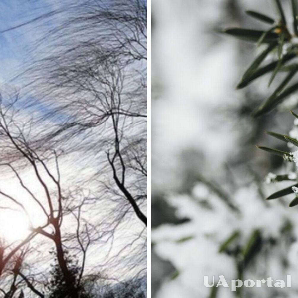 Мороз, сильний вітер та невеликий сніг з дощем: синоптики дали прогноз на вихідні 