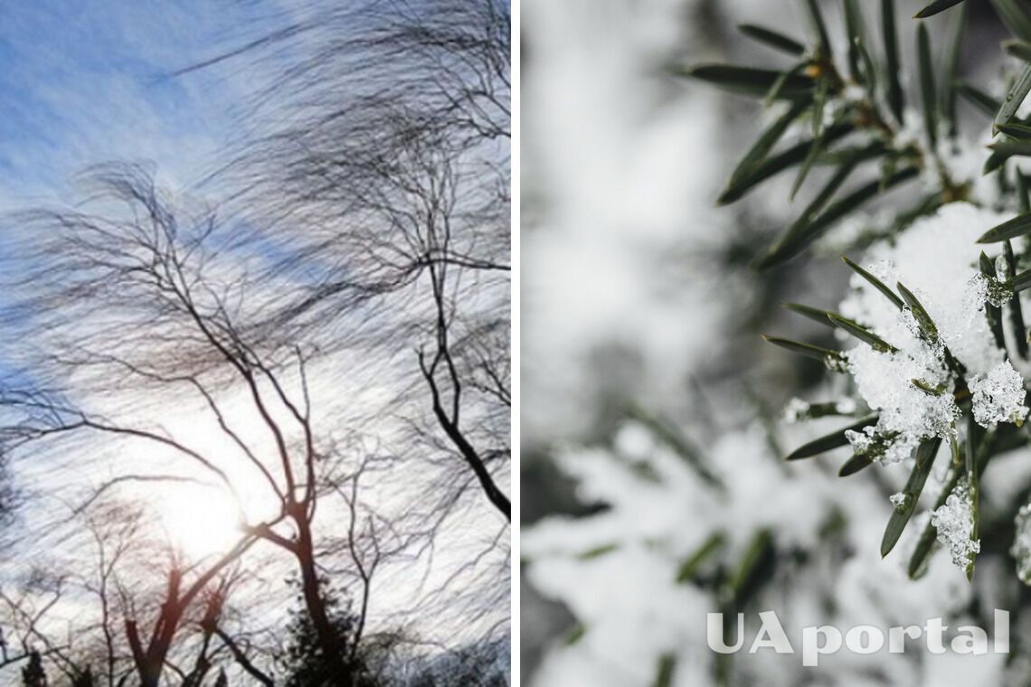Мороз, сильний вітер та невеликий сніг з дощем: синоптики дали прогноз на вихідні 