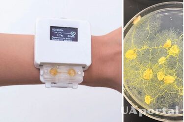 Вчені розробили смартгодинник тамагочі із живим слизовиком