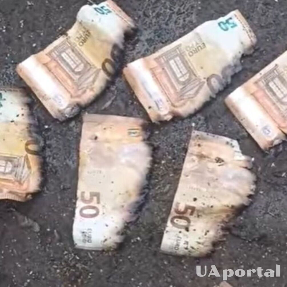 Канализацию забило крупными купюрами евро и фунтов: курьезный случай на Тернопольщине (видео)