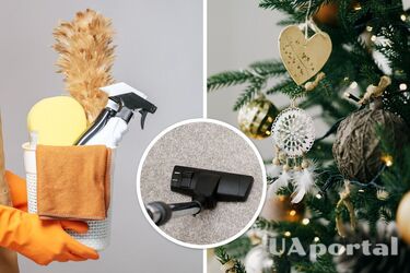 Генеральная уборка перед Новым годом