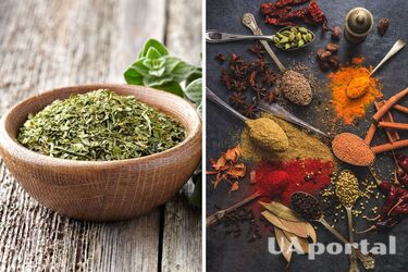 Майоран – специя – какую специю нельзя добавлять в начале приготовления – когда добавлять специи к блюду