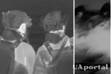 Боевые пловцы ССО показали, как отправляются на боевое задание.