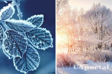 'Початок дійсно зимовий': синоптики розповіли, коли відступлять морози
