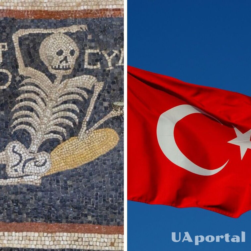 У Туреччині виявили давньогрецьку мозаїку, яка закликає радіти життю (фото)