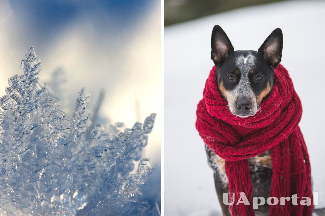 Много снега и морозы до -14 градусов: народный синоптик сделал прогноз погоды на декабрь и январь