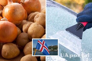 Как защитить лобовое стекло от оледенения с помощью лука и картофеля