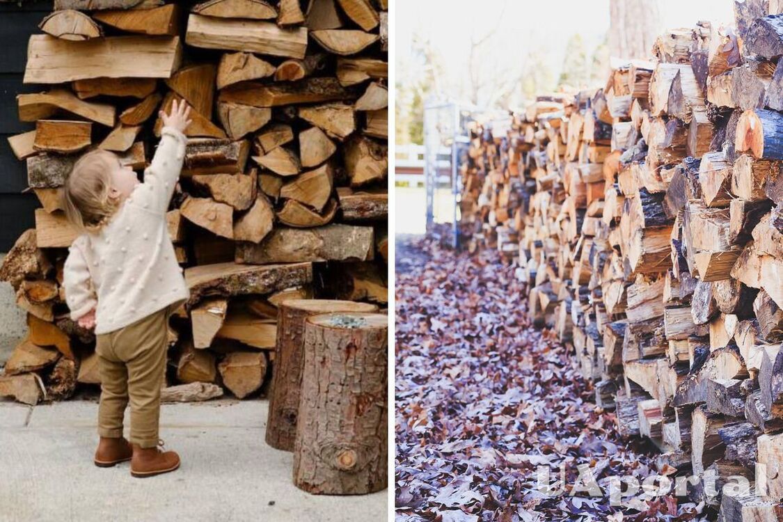Жителям деоккупированной Херсонщины выдадут бесплатные дрова: как получить