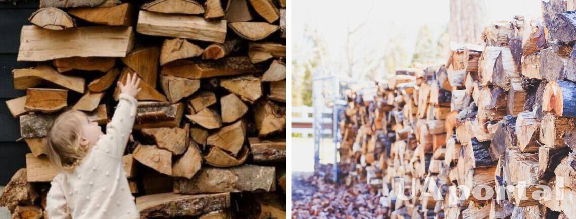 Мешканцям деокупованої Херсонщини видадуть безплатні дрова: як отримати