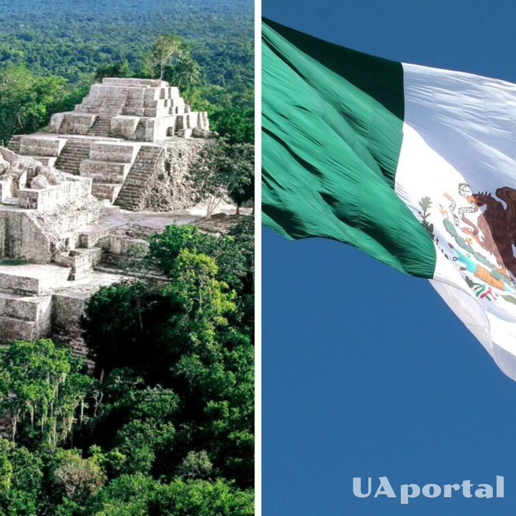 'Це просто приголомшливо': археологи встановили справжні розміри найбільшого поселення майя