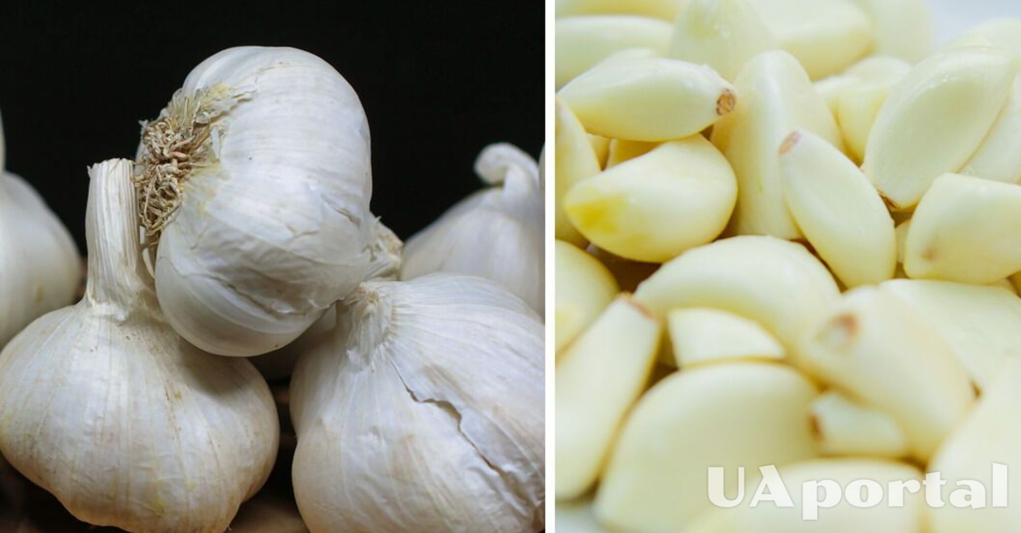 Чи можна зберігати часник в морозильній камері