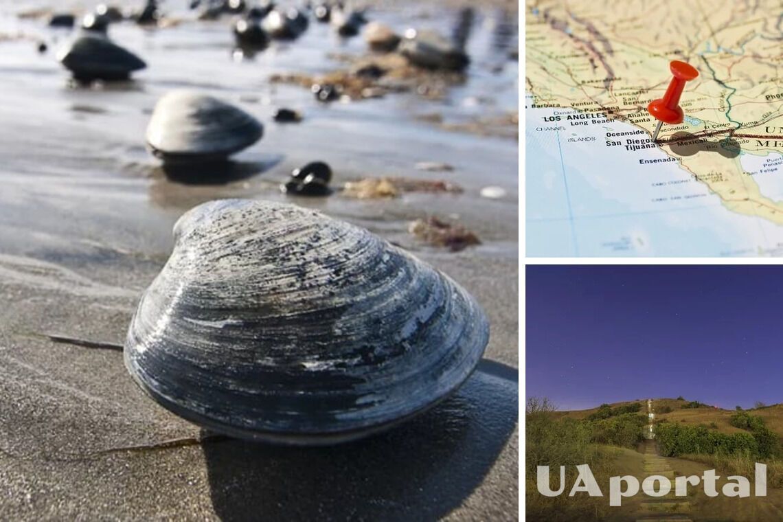 Американські вчені знайшли молюска, який вважався вимерлим протягом 40 000 років