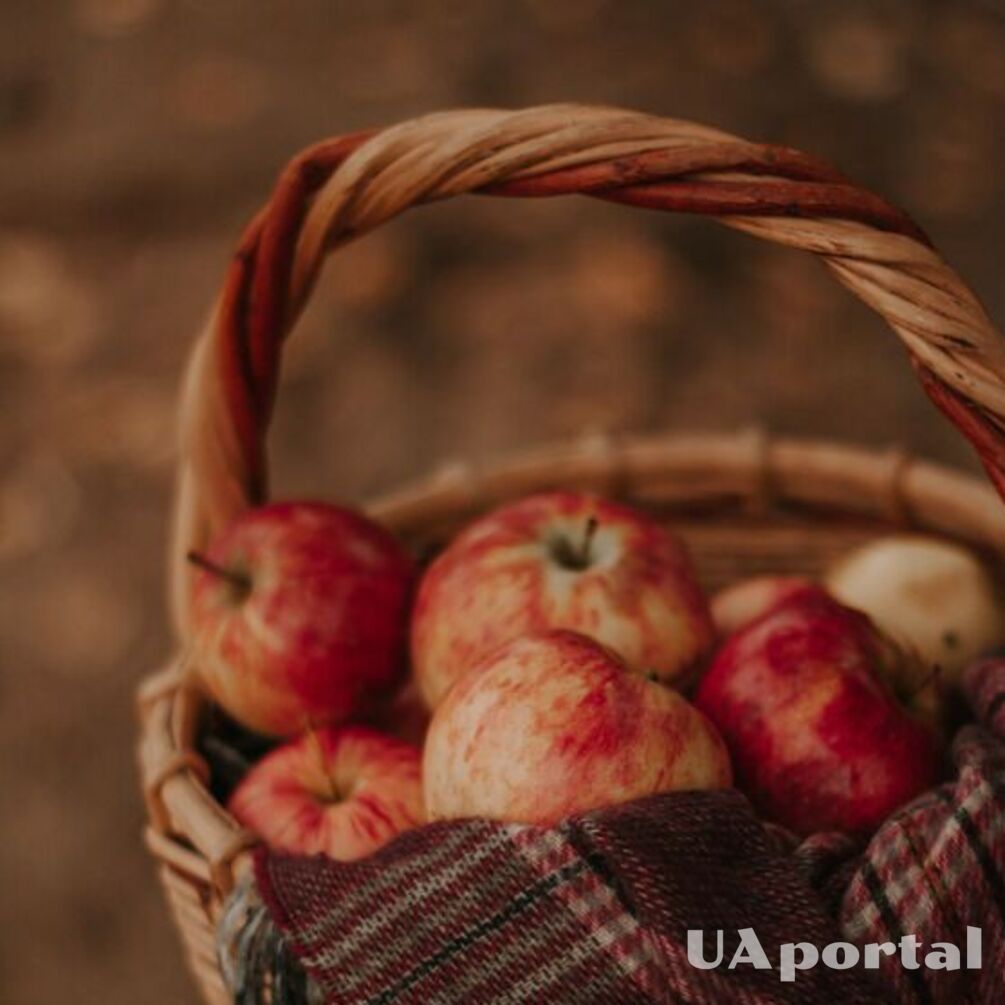 Як правильно зберігати яблука взимку, щоб вони не зіпсувались і лежали довше