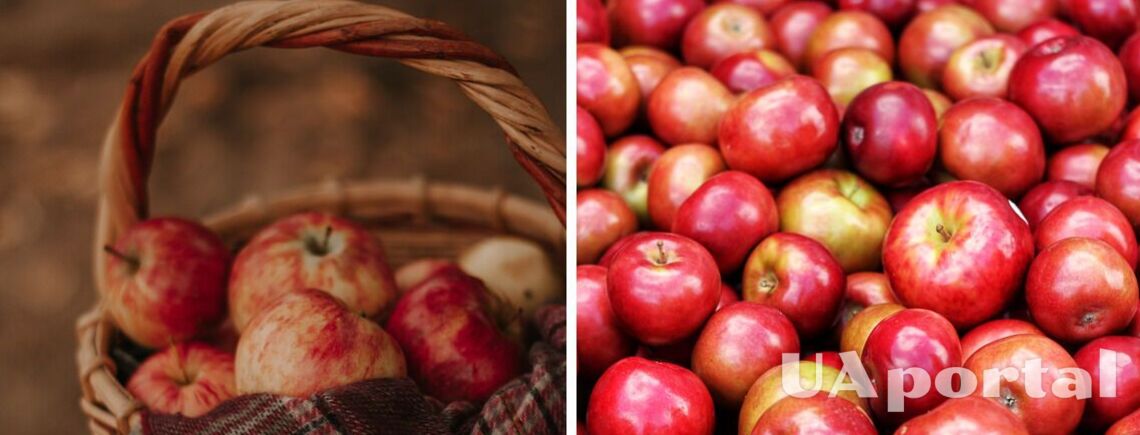Як правильно зберігати яблука взимку, щоб вони не зіпсувались і лежали довше