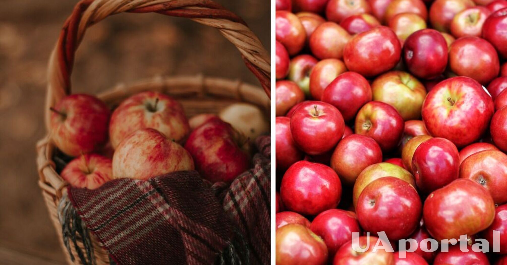 Как правильно хранить яблоки зимой, чтобы они не испортились и лежали дольше