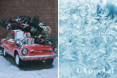 Дождливые Рождество и Новый год 2023 – синоптик дал прогноз на зимние праздники