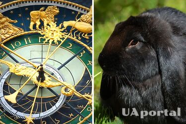 Карьерный рост и непредсказуемые расходы: что готовит 2023 год для огненных знаков зодиака