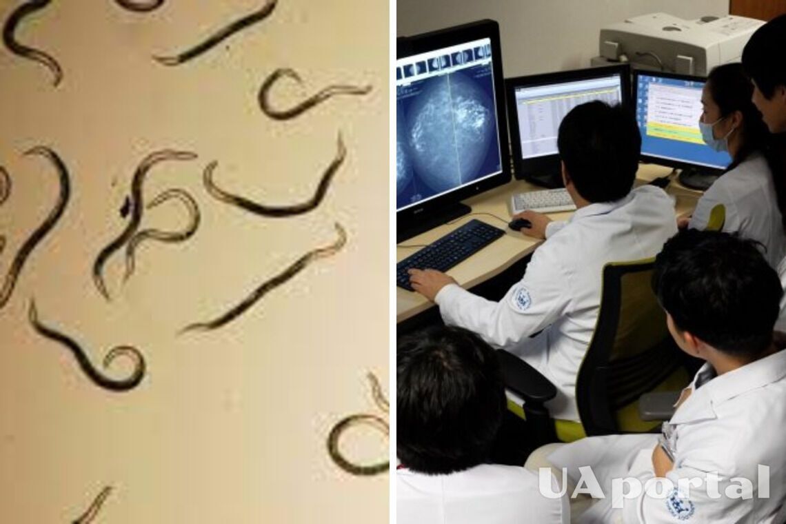 Hirotsu Bio Science разработала тест на рак с помощью червей