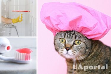 Будет сиять как новая: чем почистить душевую кабину от налета