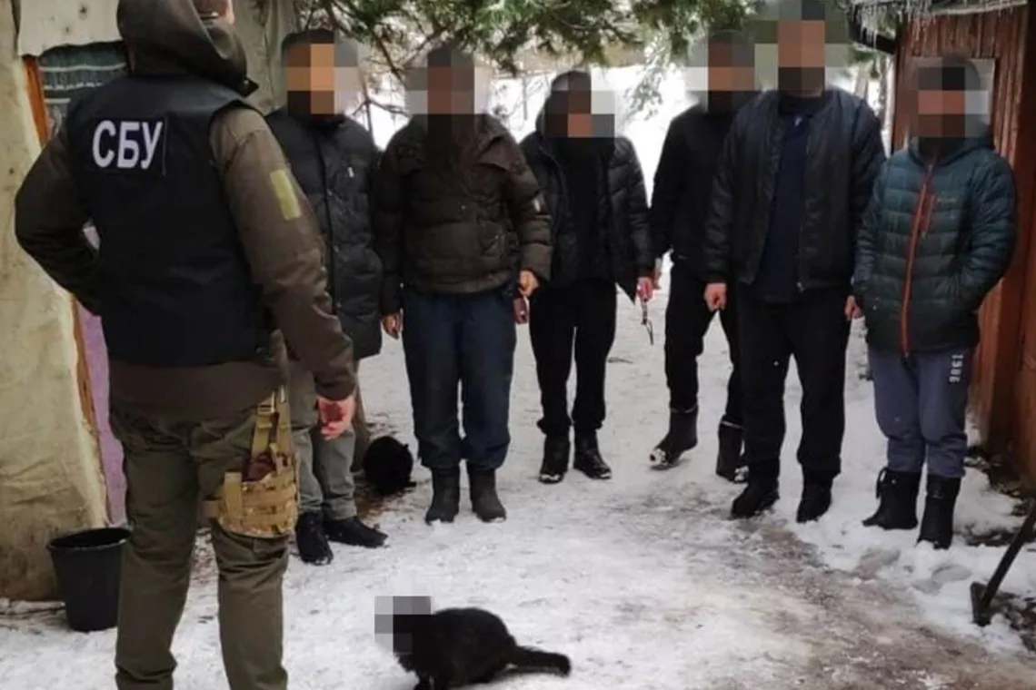 Спецагент Кіт на фото