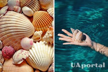 Узоры природы поражают своей красотой