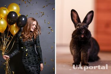 Наряды на Новый год 2023: трендовые цвета, которые понравятся символу года – Кролику