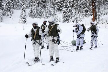 російські выйськові