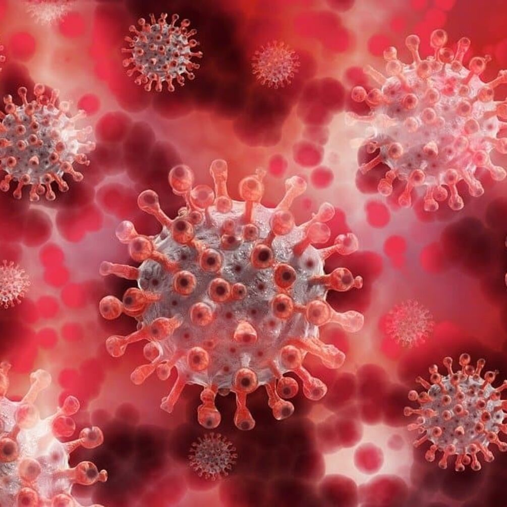 Вчені оголосили про велику нестиковку в даних щодо смертності від коронавірусу