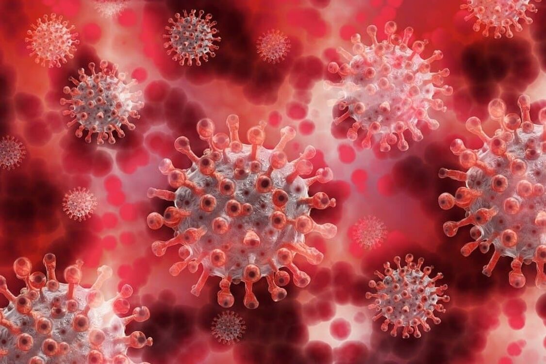 Вчені оголосили про велику нестиковку в даних щодо смертності від коронавірусу