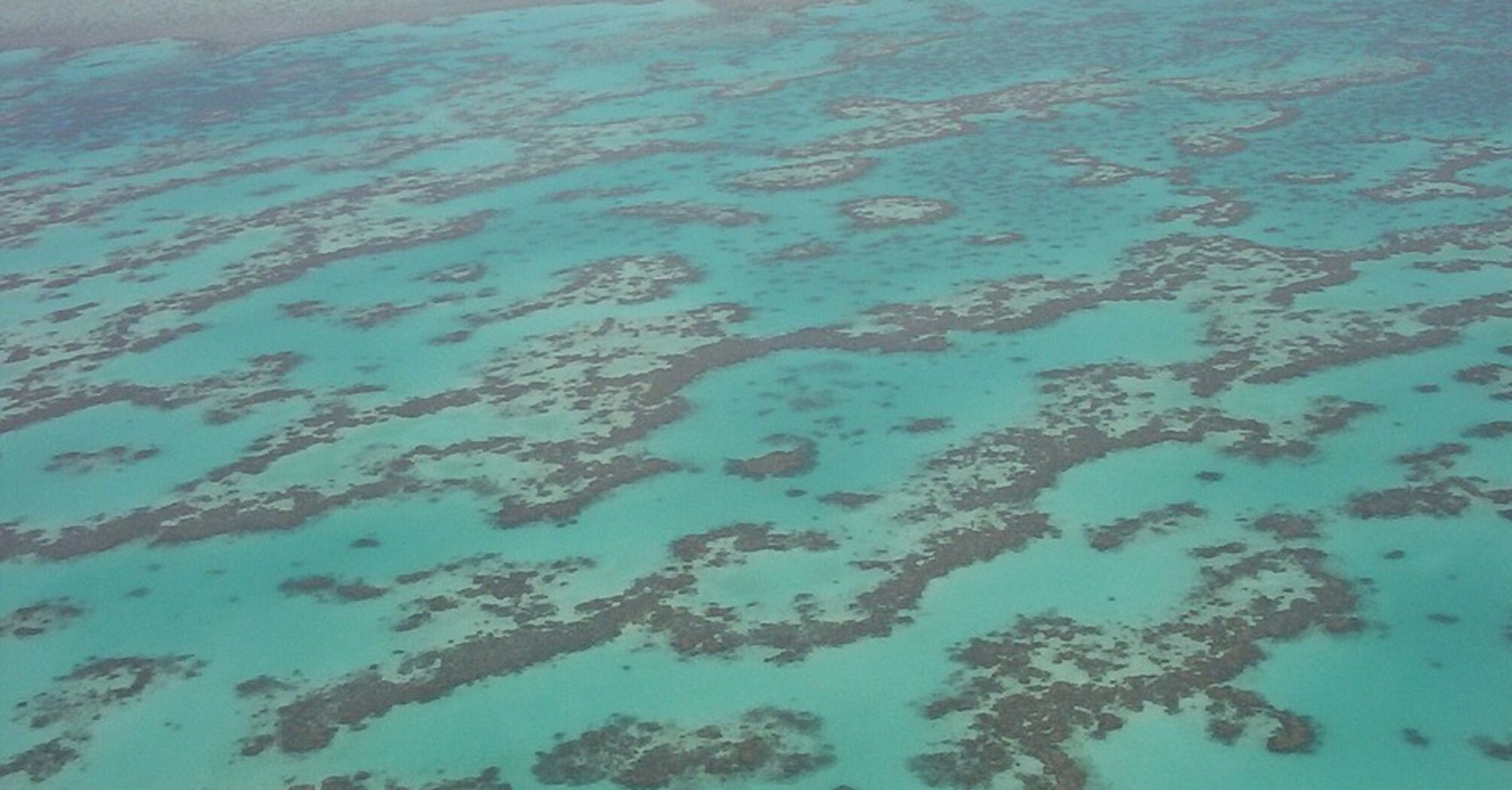 Великий Бар'єрний риф