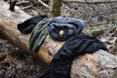 Война в Украине