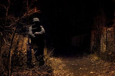 Злоумышленник