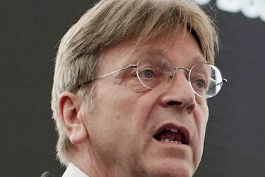 Ги Верхофстадт