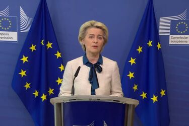 Скриншот с видео Европейской конференции 18.05.22