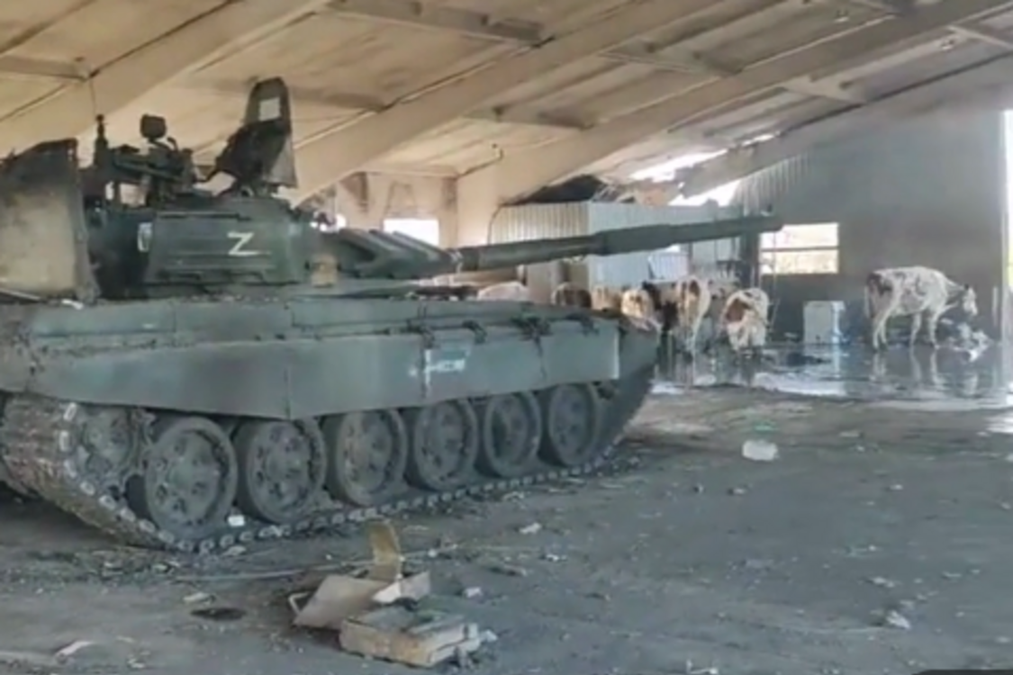 Трофейне привітання серед корів: українські бійці знайшли танк окупантів (відео)