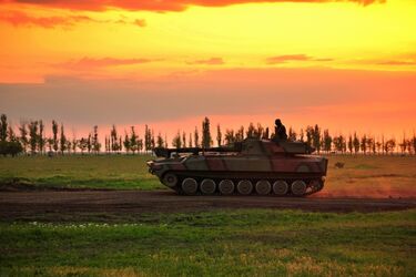 САУ 'Гвоздика'