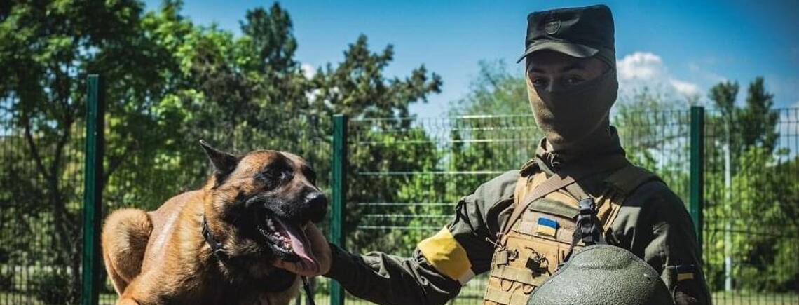 Кинутий окупантами пес вступив до лав Нацгвардії України (ФОТО)