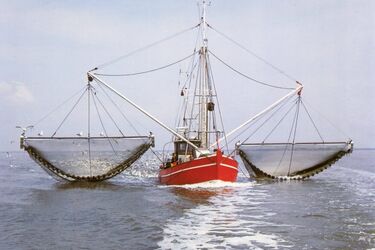 У Криму затримали два катери Туреччини та оштрафували на 30 тис доларів.