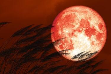 Клубничное суперлуние несет силу, но и опасность тоже